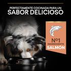 Pro Plan Medium Adult Sensitive OptiDerma Salmão ração para cães, , large image number null